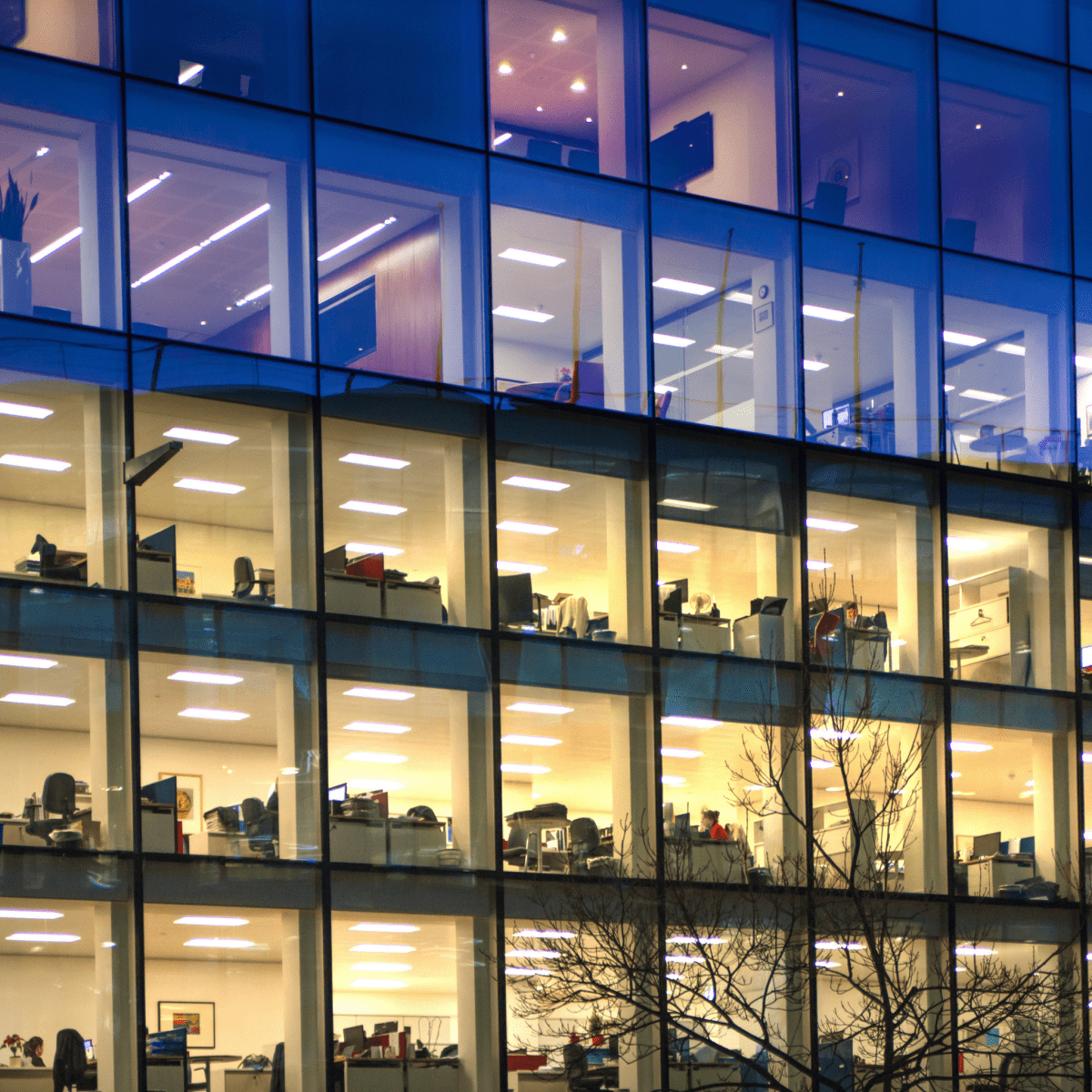 Building office lights