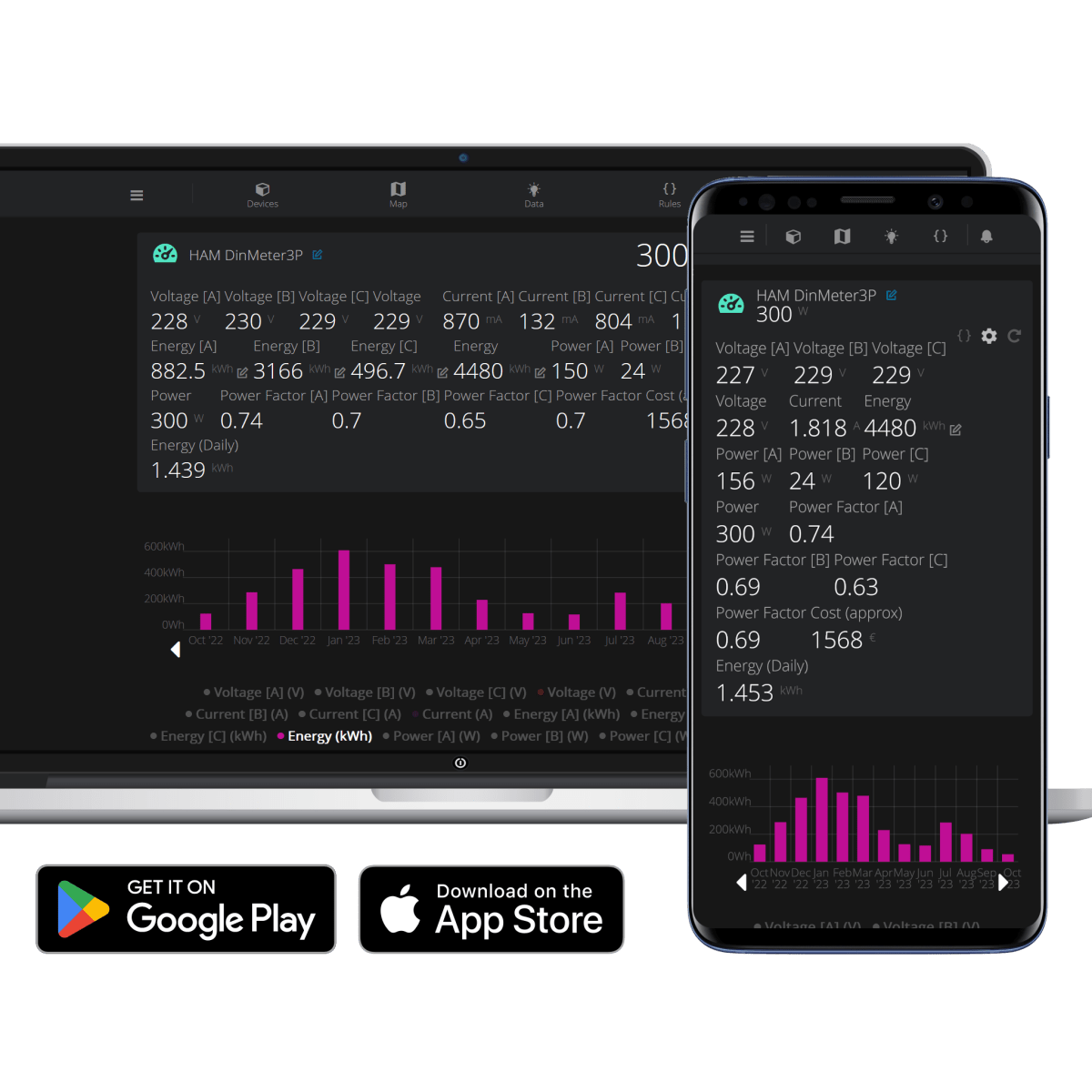 ham dinmeter3p english platform