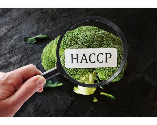 HACCP - Food hygiene and safety in modern businesses - HAM Systems store