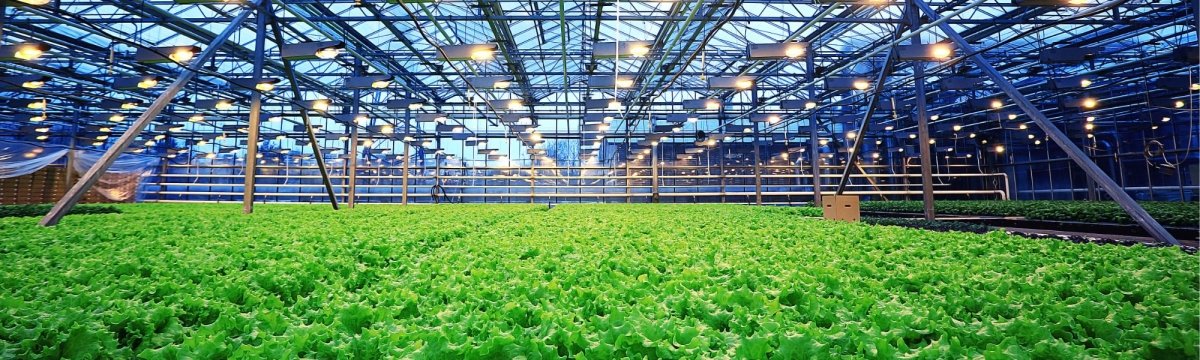 agriculture greenhouse banner