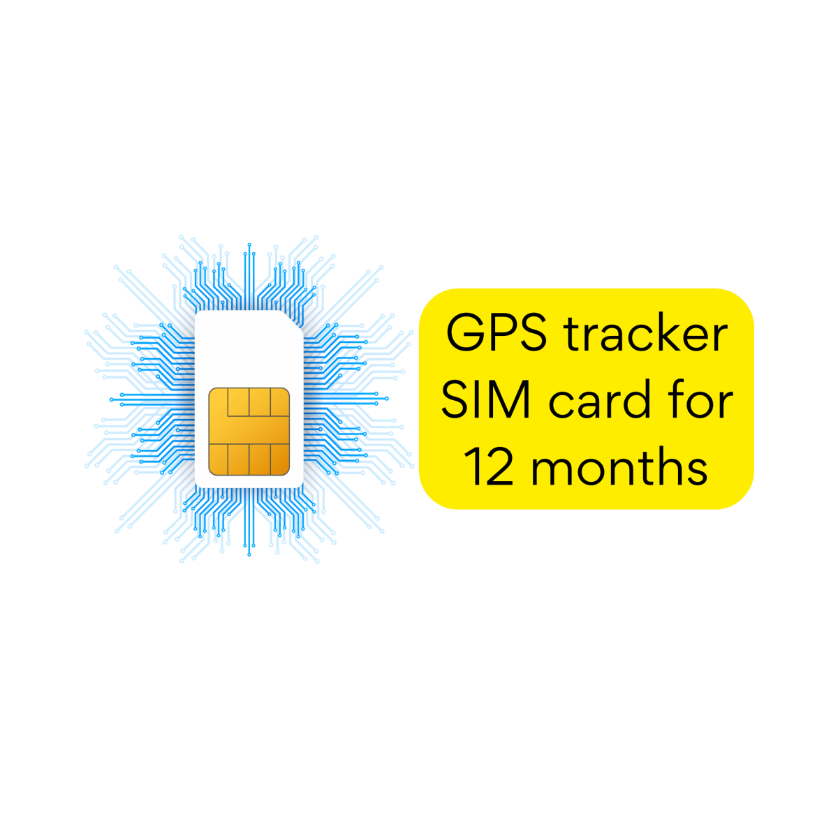 SIM card for GPS tracking, twelve months - HAM Systems store