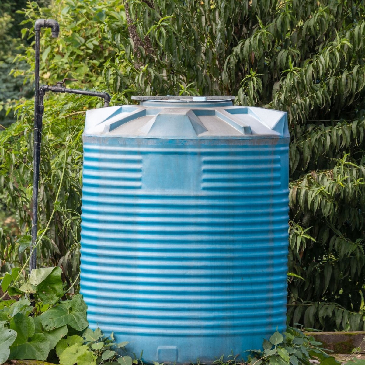 water tank agriculture